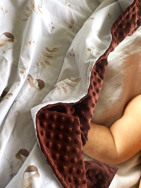 Minky sedziņa putniņi