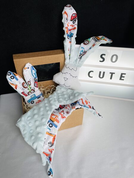 Mīļlupatiņa ar graužamriņķi auto ar gaiši zilu