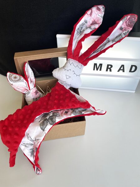 Mīļlupatiņa ar graužamriņķi sapņu ķērājs ar sarkanu