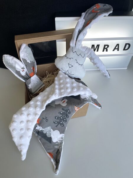 Mīļlupatiņa ar graužamriņķi lapsa mežā ar baltu