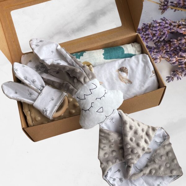 Dāvanas raudzībām